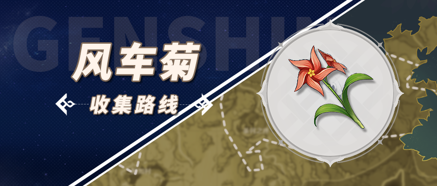 原神风车菊最佳采集路线分布图-原神风车菊在哪里有