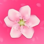 麻花视频无限观看版