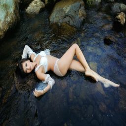 老公不在家时，狗狗的东西能要吗？家庭关系与宠物经济的深度思考